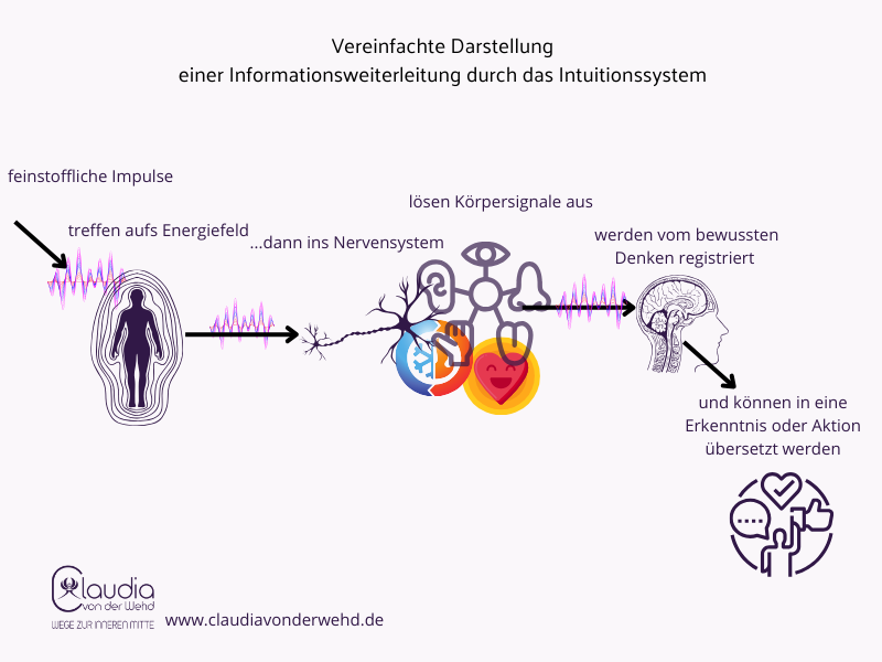 Intuition als System zur feinstofflichen Informationsweiterleitung by Claudia von der Wehd